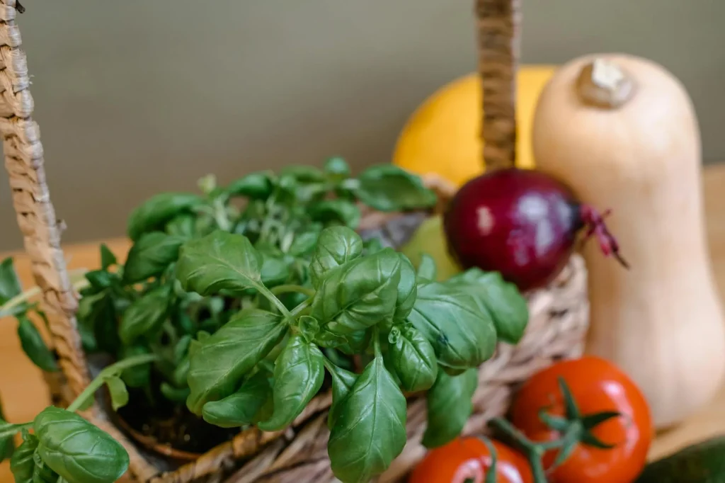 Vegetables and herbs growing together in a companion planted garden
