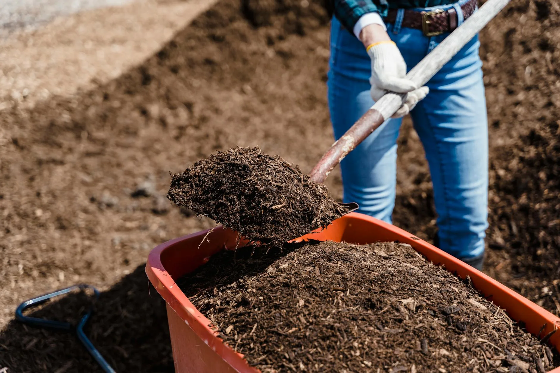 Hands holding dark crumbly finished compost ready for the garden