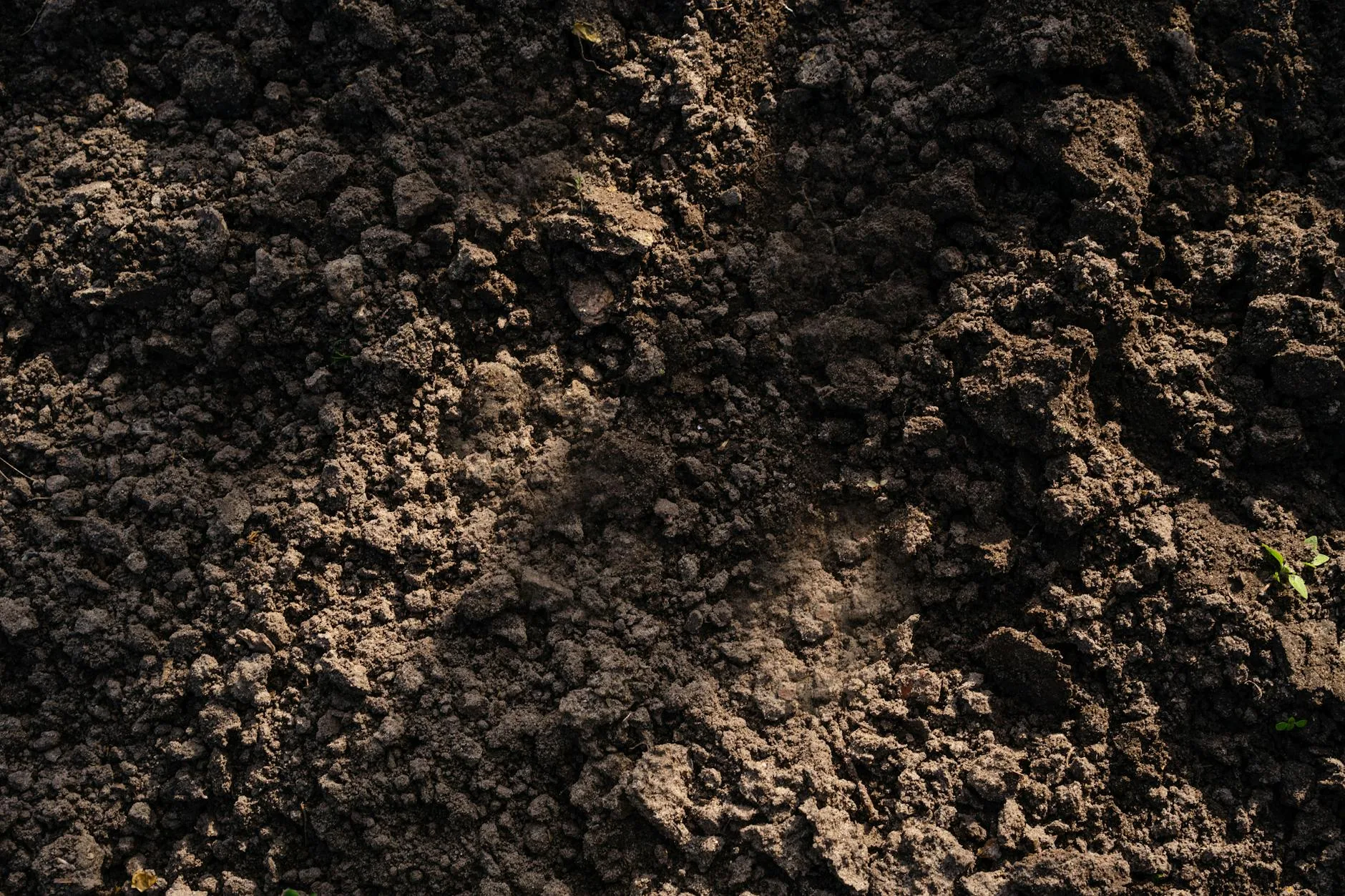Close-up of freshly tilled dark soil with loose clumps