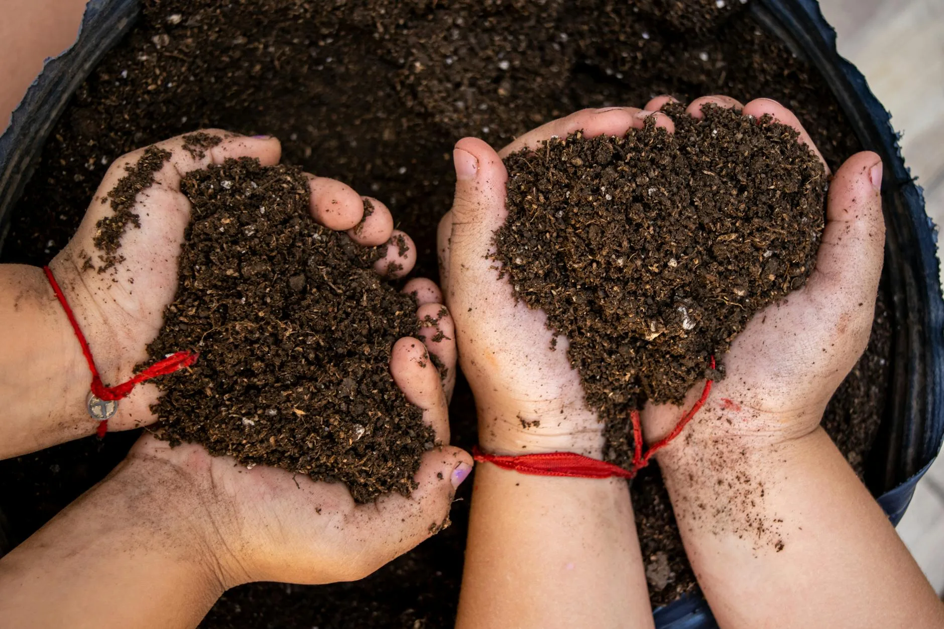 Rich dark composted soil in a garden bed ready for planting