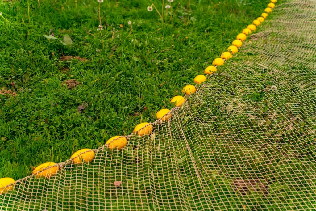 Garden net protecting crops in a raised bed allotment
