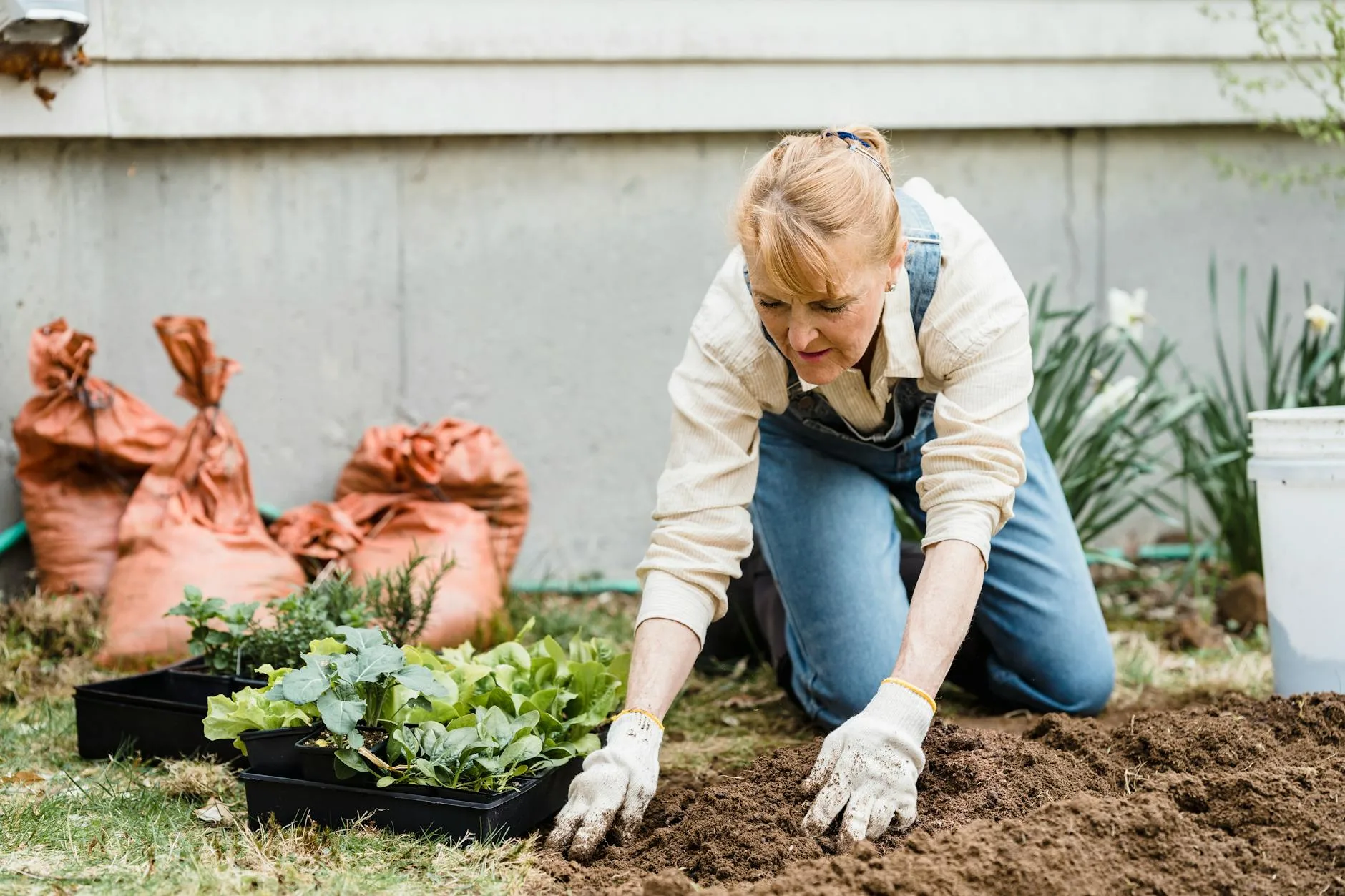 Gardener preparing soil and planting in a garden bed