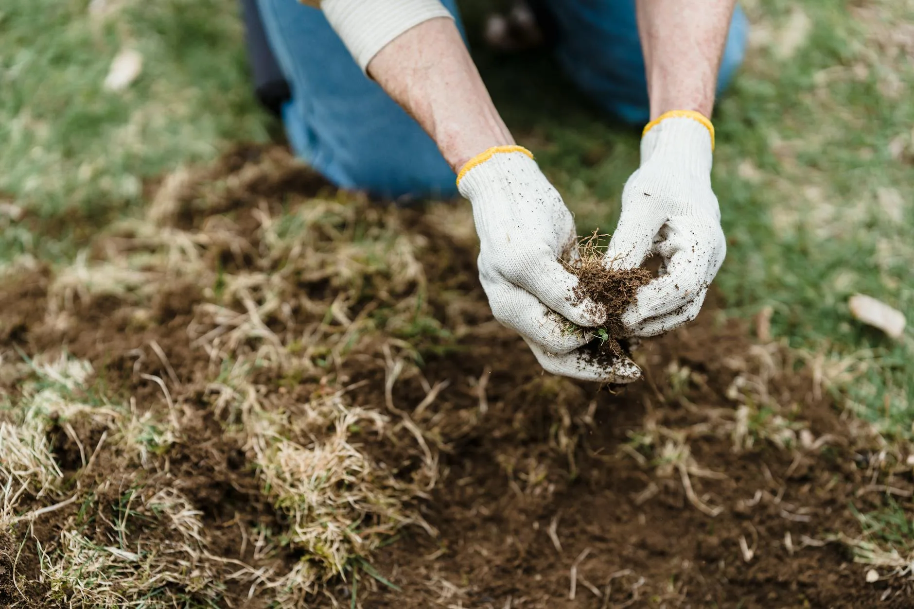 Person hand-weeding in garden soil pulling out weeds