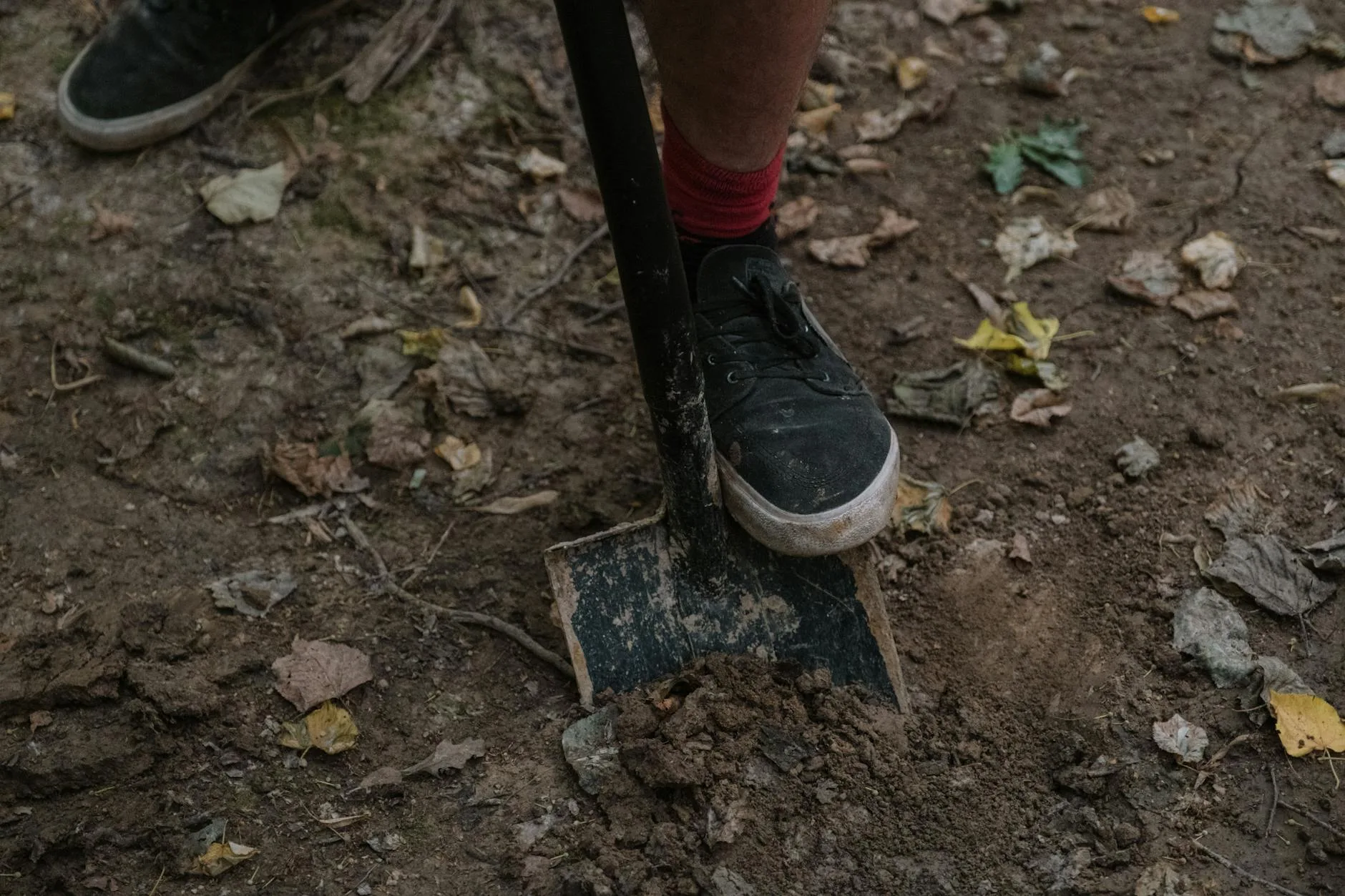 Person digging soil in a vegetable garden with a fork