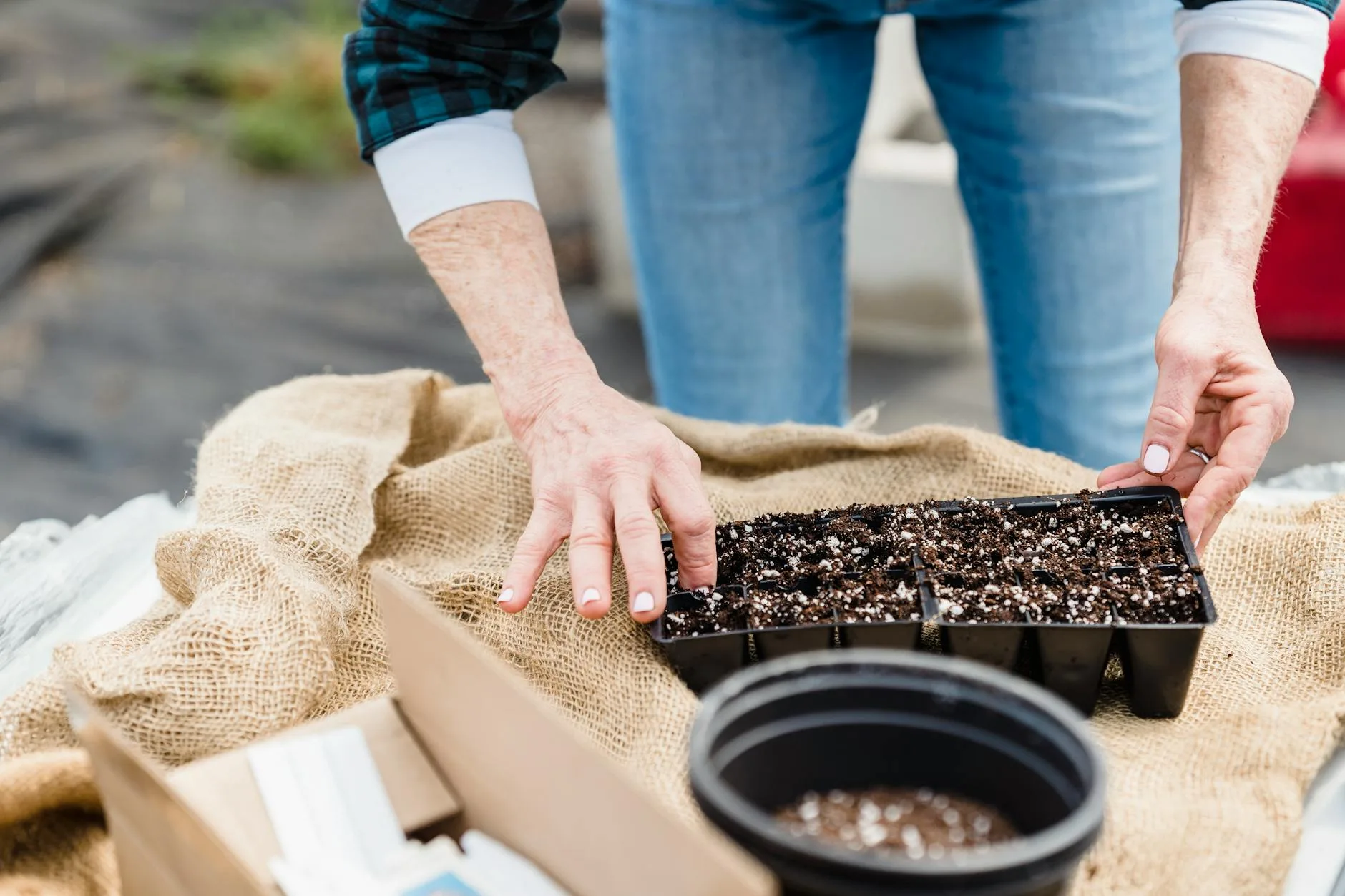 Hands carefully planting seeds into compost in a seed tray
