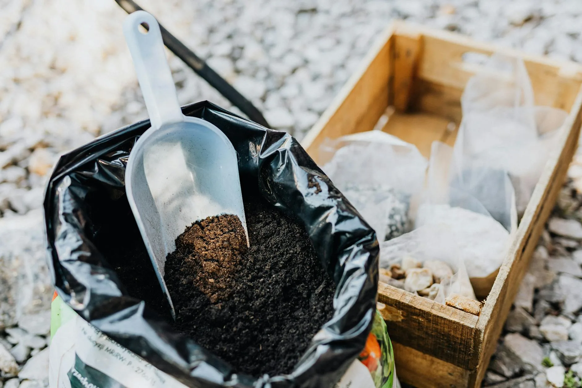 Preparing soil with compost for planting raspberries