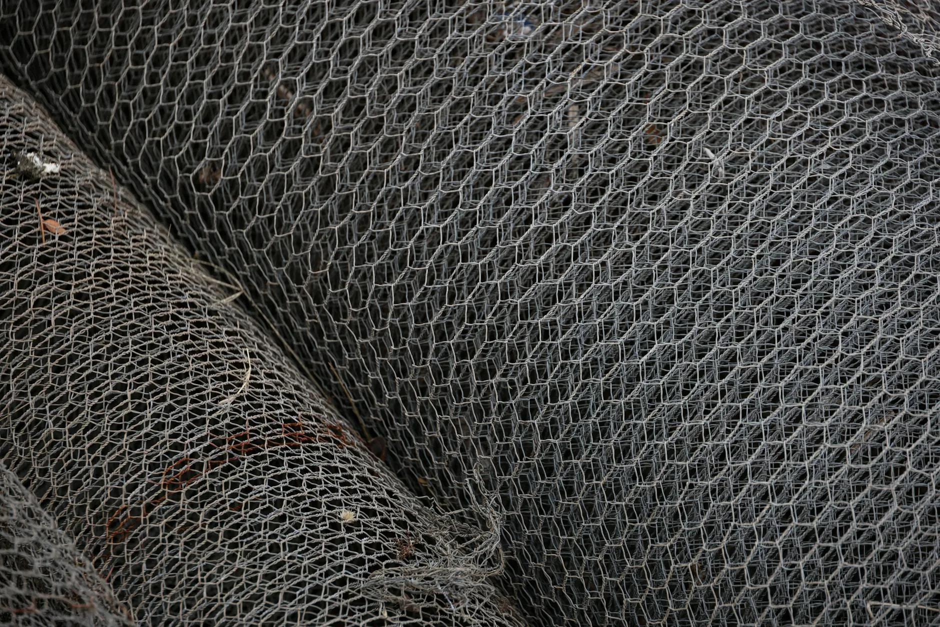 Wire mesh leaf mould cage in a garden allotment corner