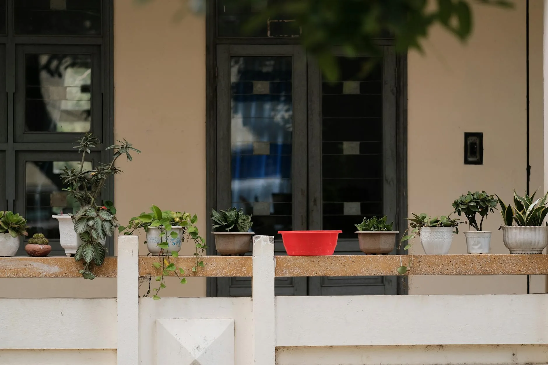 Garden pots and containers with plants on a sunny balcony