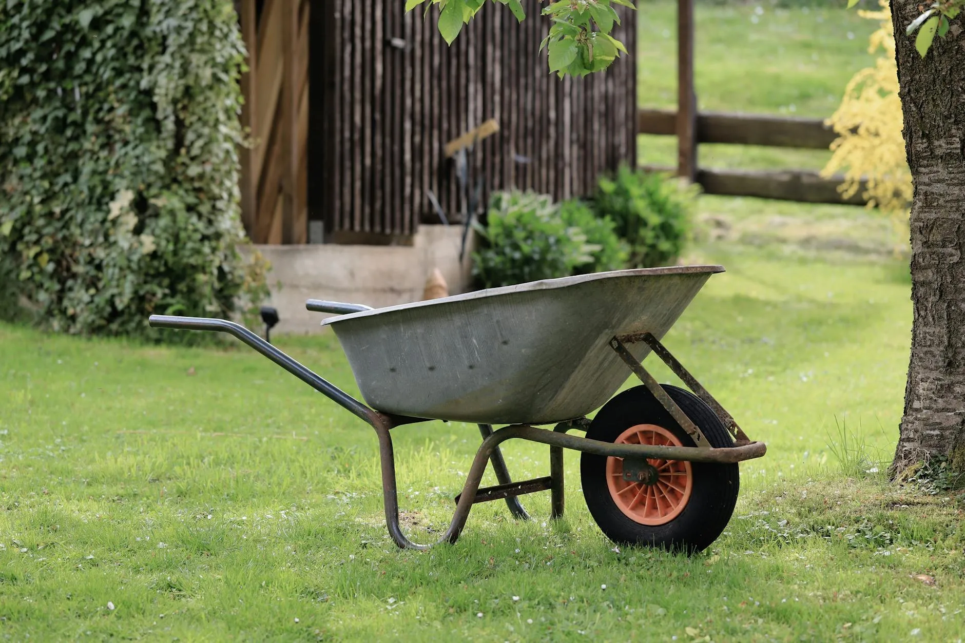 Garden tools and wheelbarrow by a shed