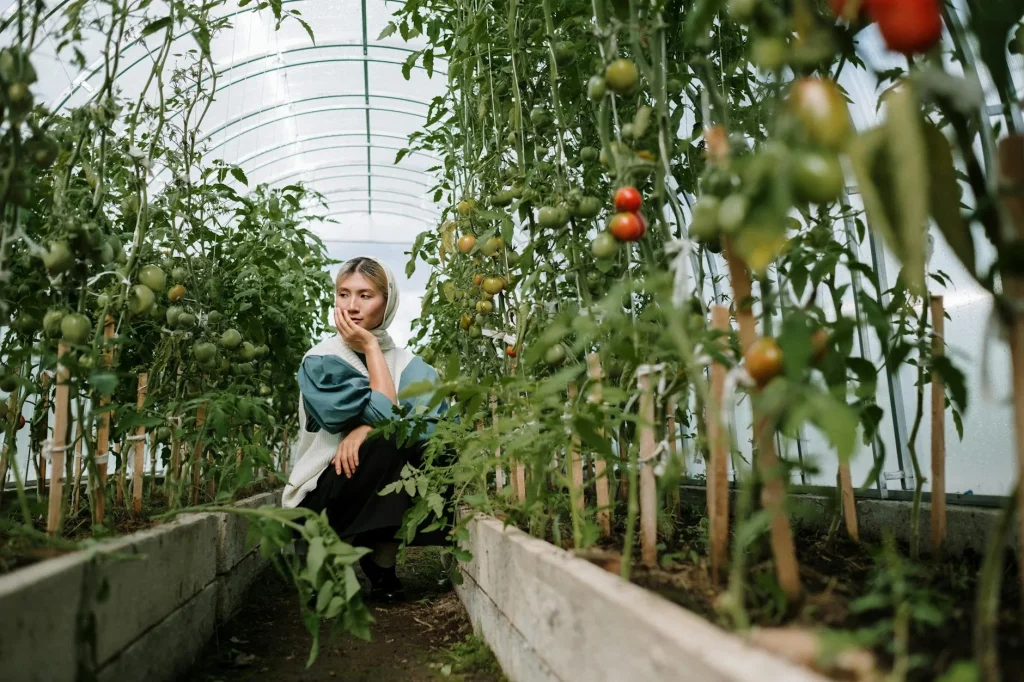 Glass greenhouse in a garden with plants growing inside