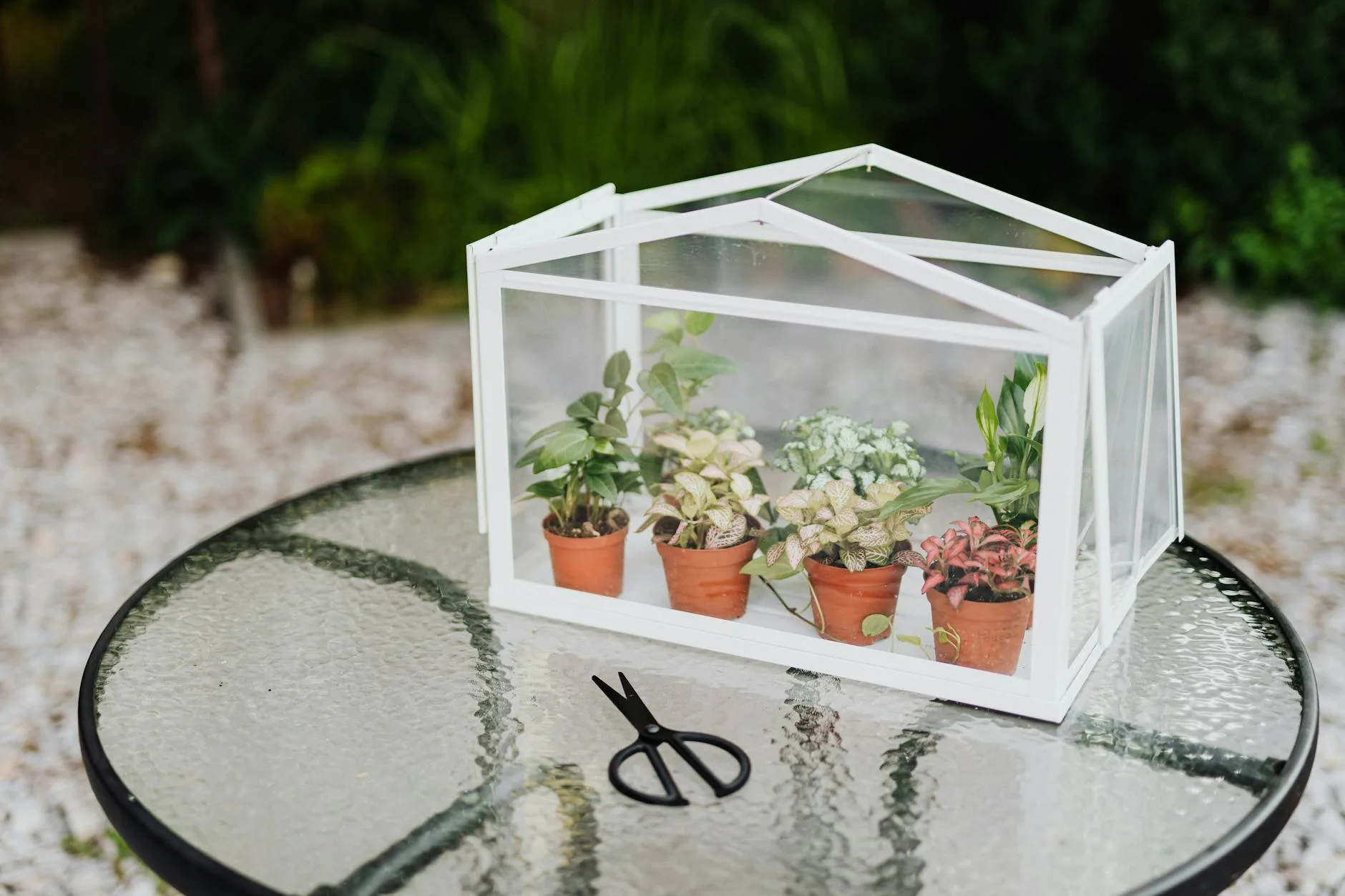 Compact mini greenhouse on a balcony or patio