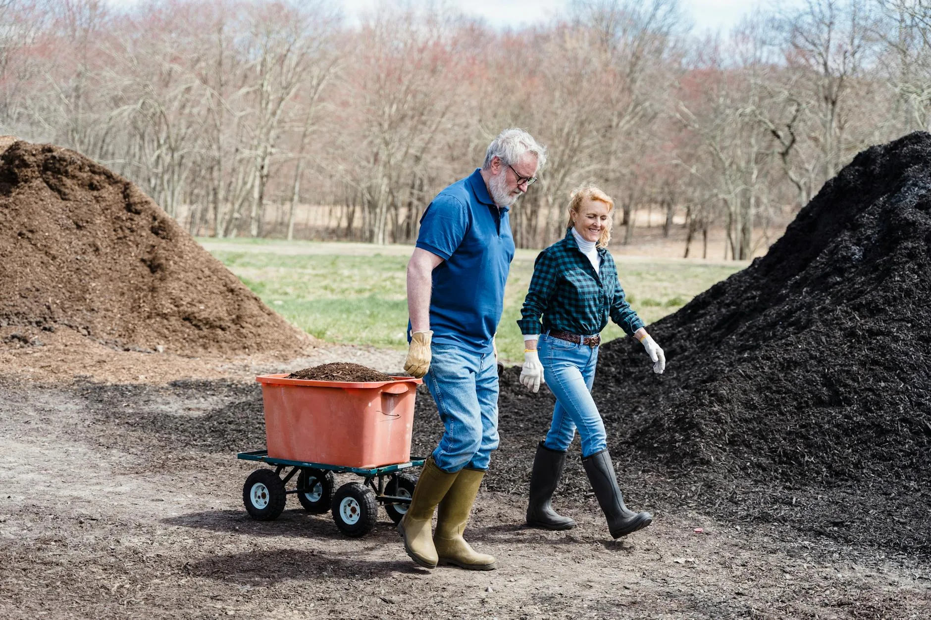 Finished dark compost ready to use in a garden wheelbarrow