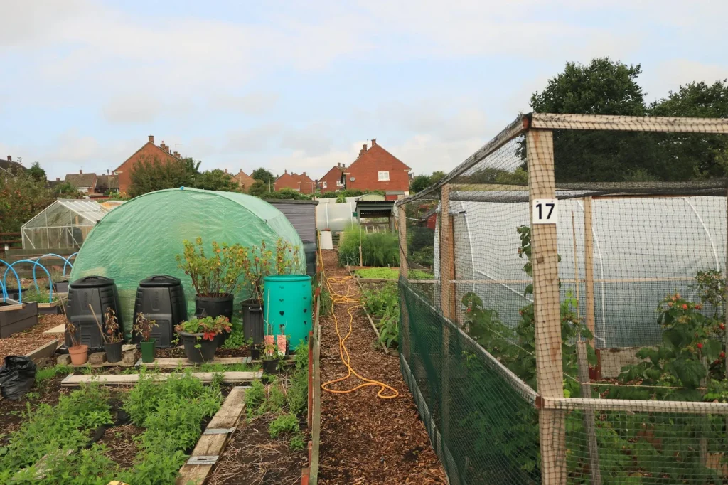 Compost bin in a garden beside vegetable beds