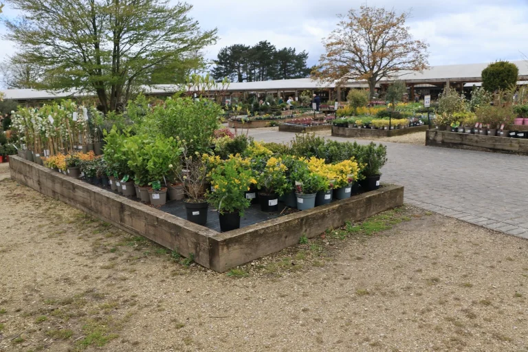 Fruit Growing