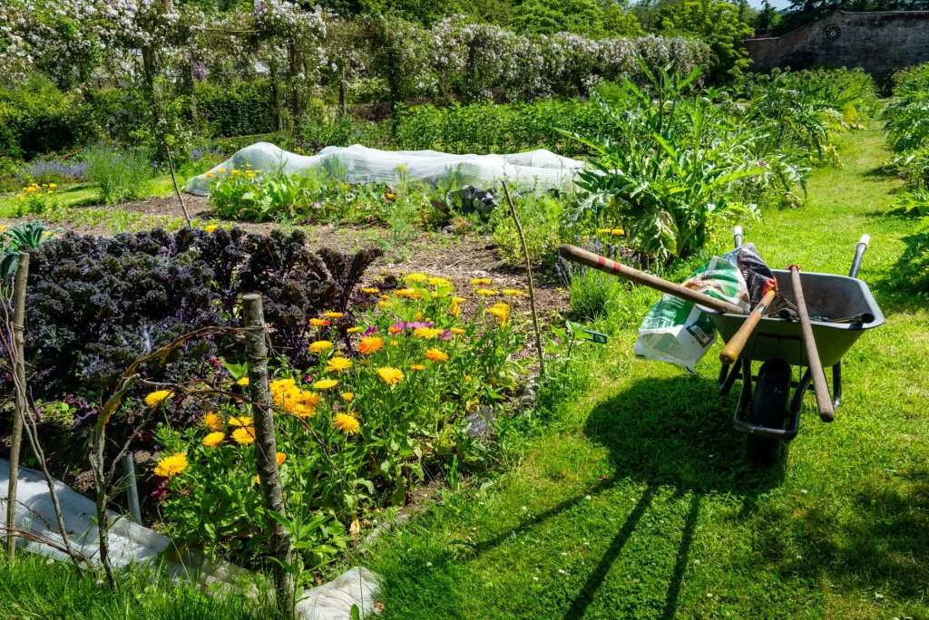 Practical gifts and tools beside a productive vegetable garden